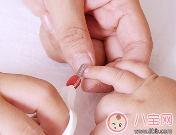 宝宝指甲多久剪一次好 怎样正确给宝宝剪指甲