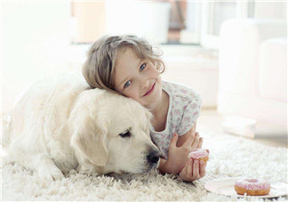 孩子对宠物过敏怎么办 如何应对宠物引起的宝宝过敏