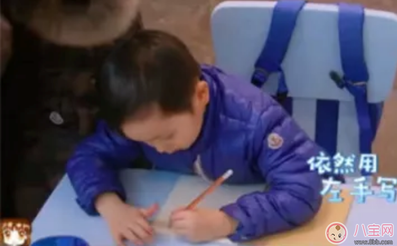 邓莎儿子写字用左手好不好 孩子用哪只手写字需要纠正吗