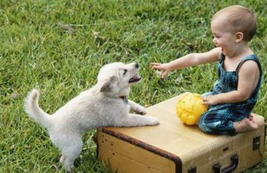 怎么让3岁宝宝认识动物 教宝宝认识动物有哪些方法
