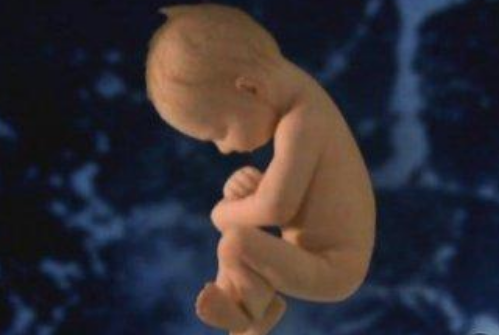 胚胎移植后上厕所有哪些影响2018 排尿会不会将胚胎冲出体外