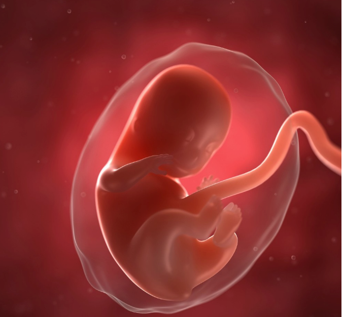 子宫后倾会影响怀孕吗 哪些原因会造成子宫后倾
