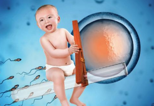 试管婴儿促排卵失败是什么原因 哪些食物有促排卵功效