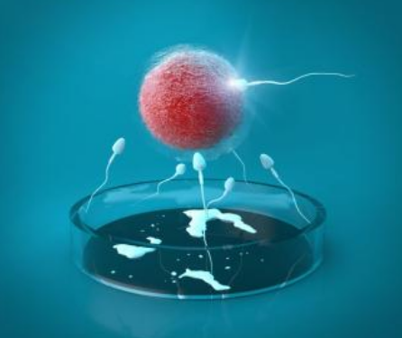 试管婴儿形成胚胎失败是什么原因2018 反复胚胎种植失败怎么办