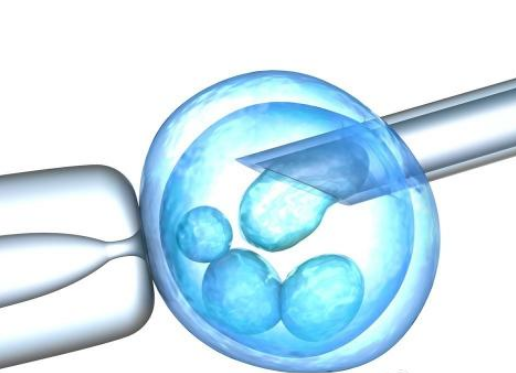 试管婴胚胎着床子宫腺肌症怎么办 有子宫腺肌症能做试管婴儿吗