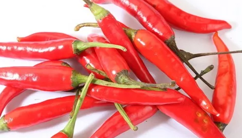 吃青椒会上火吗 青椒是热性还是凉性