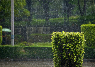 夏天下雨的心情说说配图 描写夏天下雨的唯美句子短语