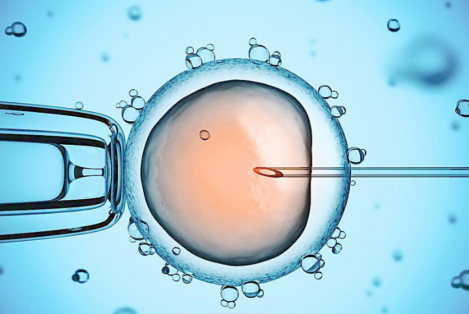 试管婴儿新鲜胚胎和冷冻胚胎有什么区别 试管婴儿冷冻胚胎更好吗