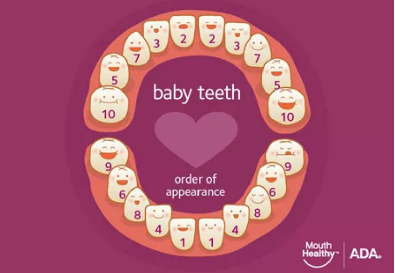 孩子蛀牙怎么护理牙齿 预防孩子蛀牙怎么饮食