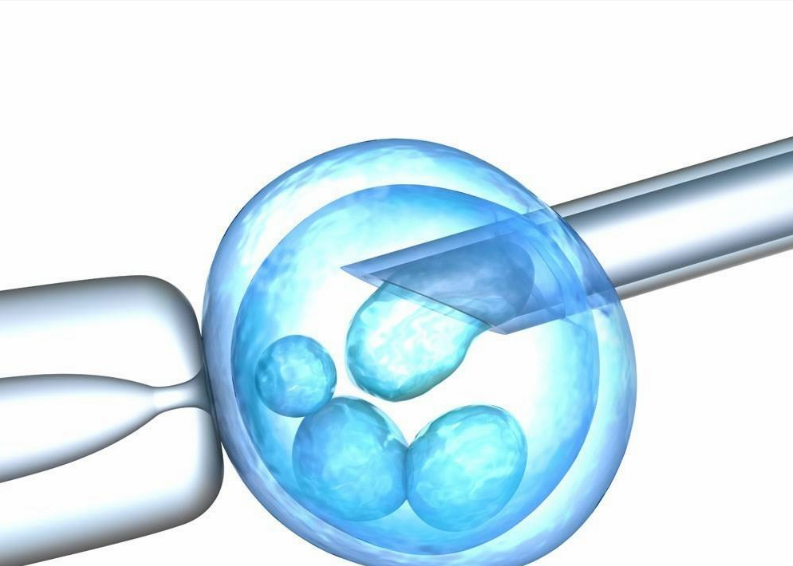 试管婴儿怀多胞胎有什么风险 胚胎植入数与年纪有什么关系