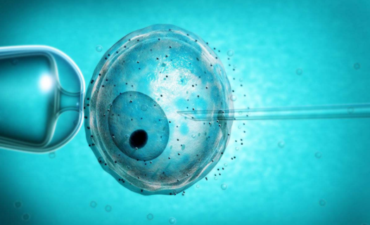 试管婴儿分裂期植入和囊胚期植入有什么区别 胚胎植入多少好