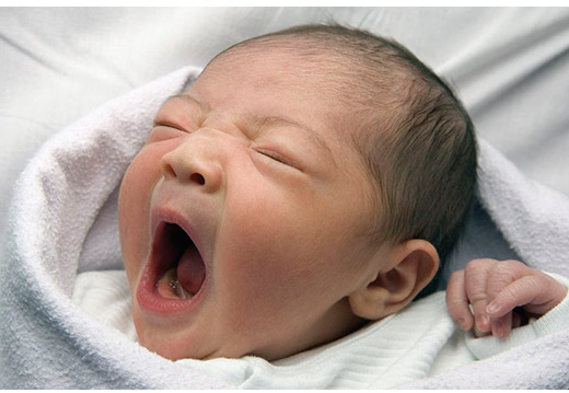 早产儿智力发育正常吗 注意补钙防止惊厥的发生