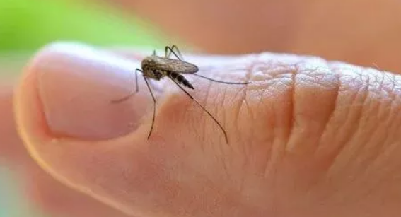 小孩子被蚊子叮出包怎么办2018 家里有小孩使用驱蚊剂要注意什么