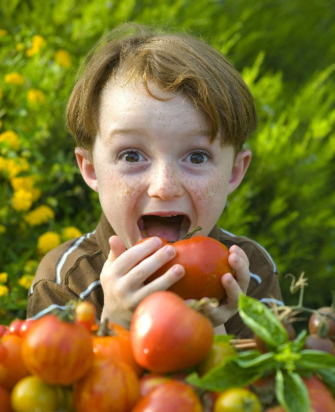 孩子特别不喜欢吃番茄怎么办 孩子不吃番茄的原因2018