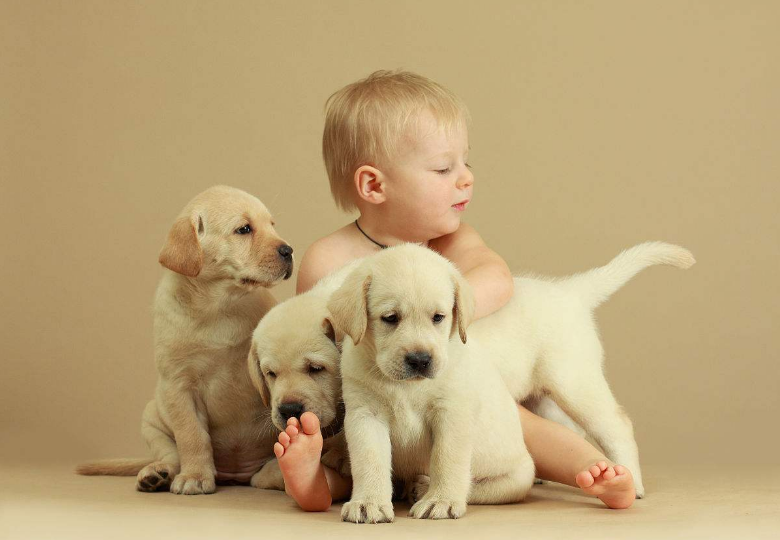 新生儿和狗狗能够共处吗 狗狗对新生儿有影响吗