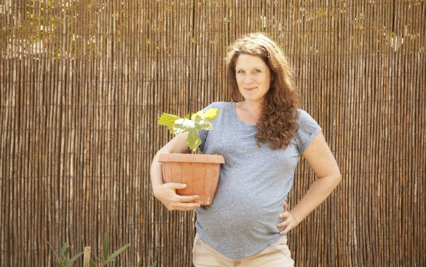 孕妇可以吃龟苓膏吗 夏季孕妇能不能吃凉性食物
