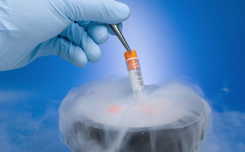 冷冻胚胎比冷冻卵子好吗 冷冻胚胎最长可以存放多长时间