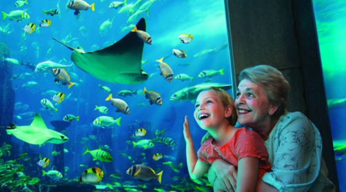 带孩子去海洋世界的心情说说 和孩子去海洋馆的照片发文字句子说说