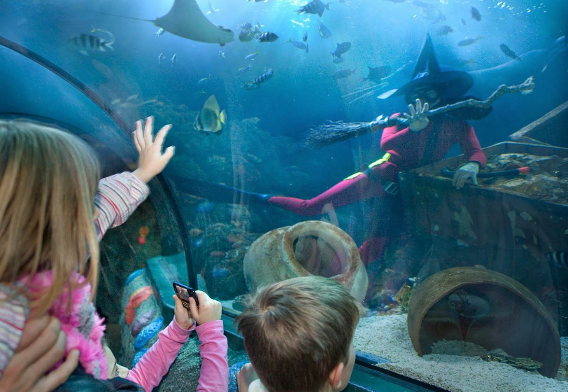 带孩子去海洋世界的心情说说 和孩子去海洋馆的照片发文字句子说说