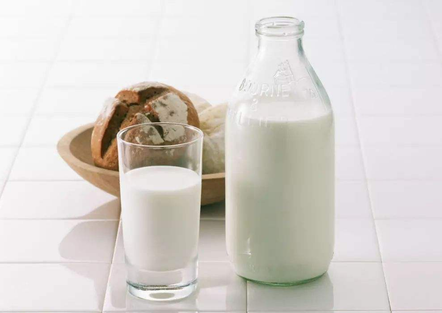 乳糖不耐受奶蛋白消化不良及过敏有什么区别 
