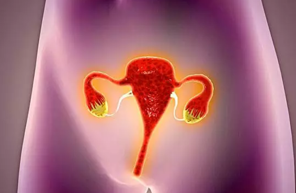 输卵管结核可以做试管婴儿吗 输卵管结核停药多久可以做试管婴儿