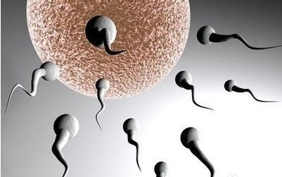 精子活力不够怎么调理     精子活力低调理方法