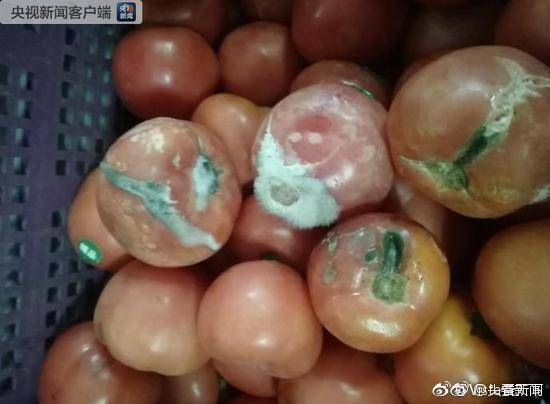 上海中芯国际学校食堂蔬菜霉变是怎么回事 学校食堂蔬菜霉变事情处理结果