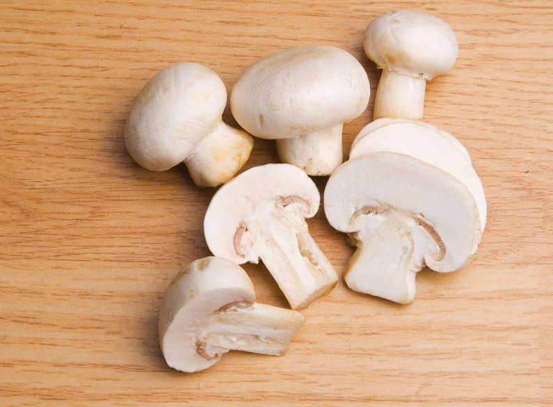 多大孩子可以吃蘑菇 孩子吃什么蘑菇比较好