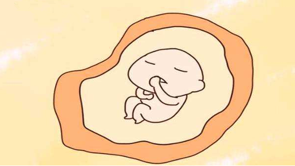 胎儿性别检测试纸准吗 如何看胎儿的性别