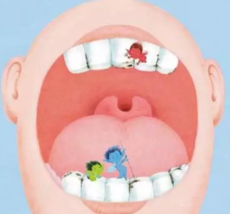 宝宝乳牙蛀牙怎么办  乳牙蛀牙预防指南