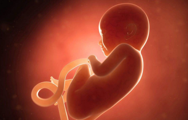 孕期|孕期b超检查什么好孕期B超检查项目推荐