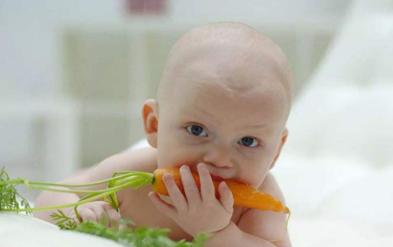 宝宝吃什么养胃   十大养胃食物推荐