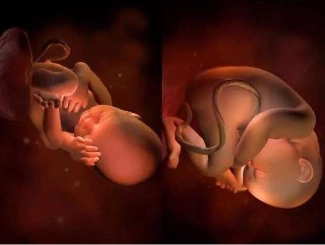胎儿在肚子里会无聊吗 胎儿在肚子里会做什么