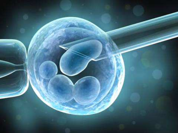 冷冻胚胎会影响试管婴儿质量吗 冷冻胚胎可以保存多久
