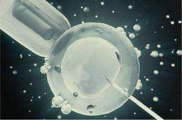 冷冻胚胎会影响试管婴儿质量吗 冷冻胚胎可以保存多久