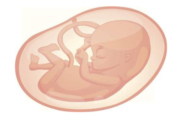 胎盘是越成熟越好吗 如何判断胎盘是否老化