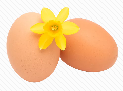 孕妇在孕期吃鸡蛋有什么好处 孕期吃鸡蛋要注意什么