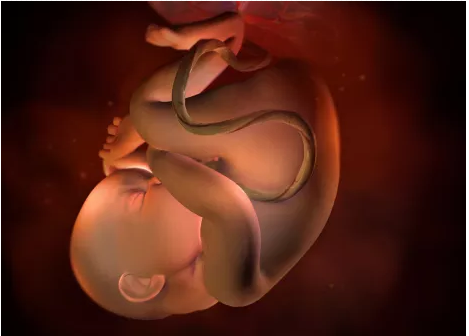 胎儿生长发育受限有什么表现 胎儿生长发育受限怎么办