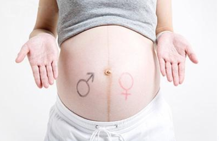 孕囊数据看男女怎么看 孕囊数据看男女方法说明