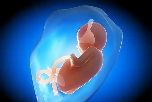 盆腔|盆腔还有积液会影响宝宝发育吗 盆腔还有积液是怎么回事