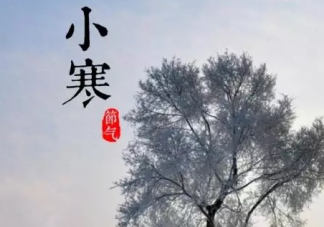 2019小寒节气手抄报图片 小寒手抄报资料