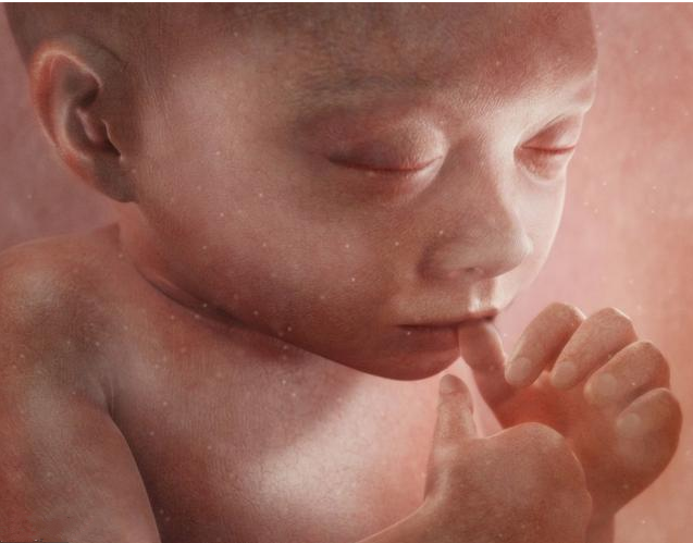 胎儿打嗝是什么原因 胎儿打嗝判断胎位准确吗