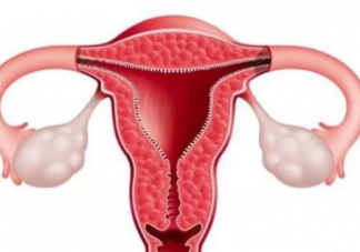 子宫内膜太薄有什么影响 子宫内膜太薄的危害