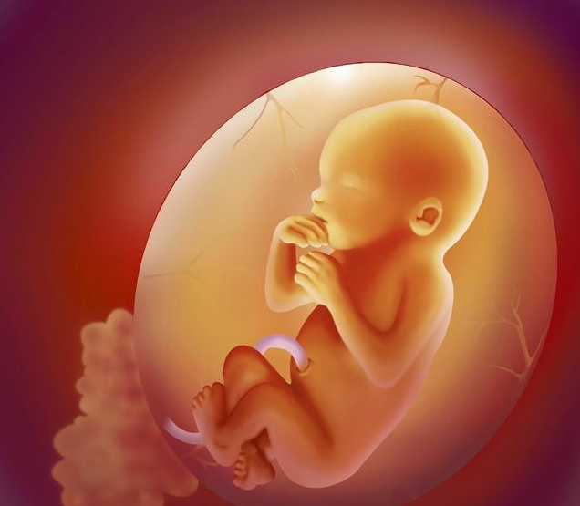 胎停育可以保胎吗 什么情况下孕妈需要保胎