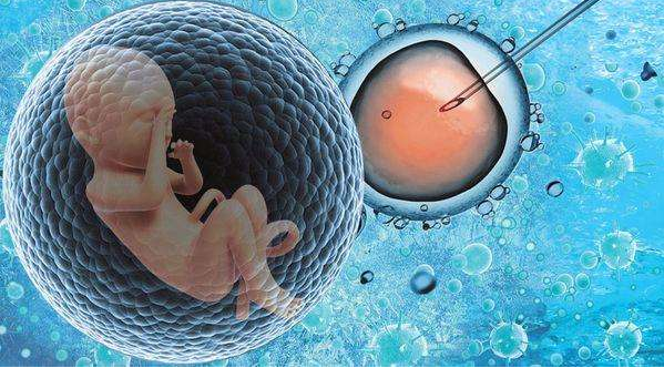 试管婴儿移植后怎么验孕 试管婴儿移植后多久可以测出来怀孕