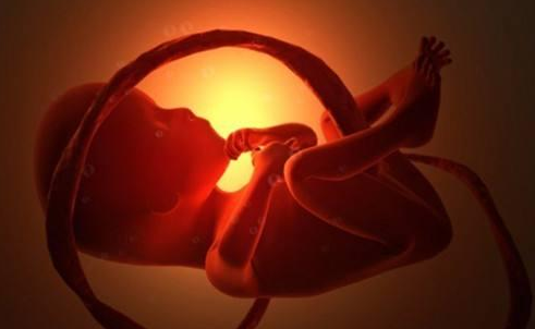 脐带绕颈会造成宝宝缺氧吗 孕期各阶段脐带绕颈的发生几率