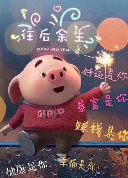 2019猪年大吉顺口溜 新年贺词2019怎么发