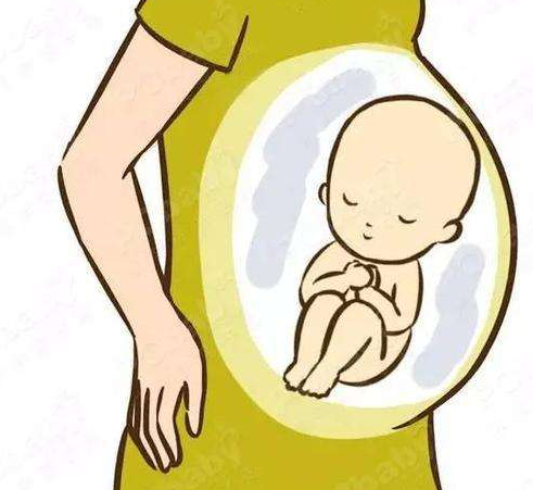 刚怀孕要注意点什么 孕早期要注意什么