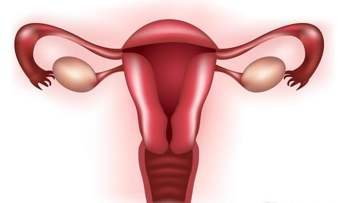 子宫肌瘤会恶变吗 子宫肌瘤的恶变征兆有哪些