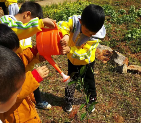 节日|幼儿园小班植树节报道2019 幼儿园小班植树节活动报道